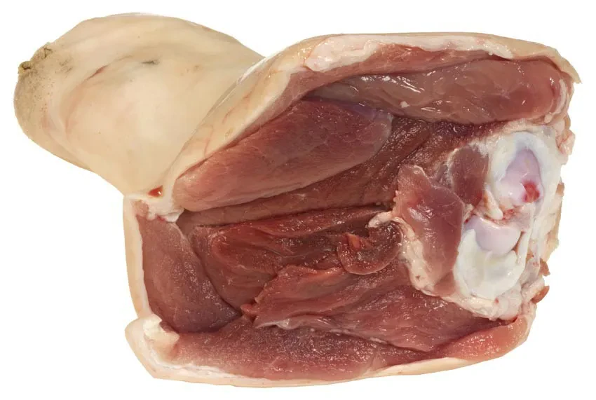 Meat the World - Jamboneau