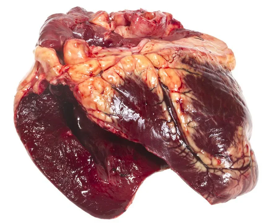 Meat the World - Heart (beef)