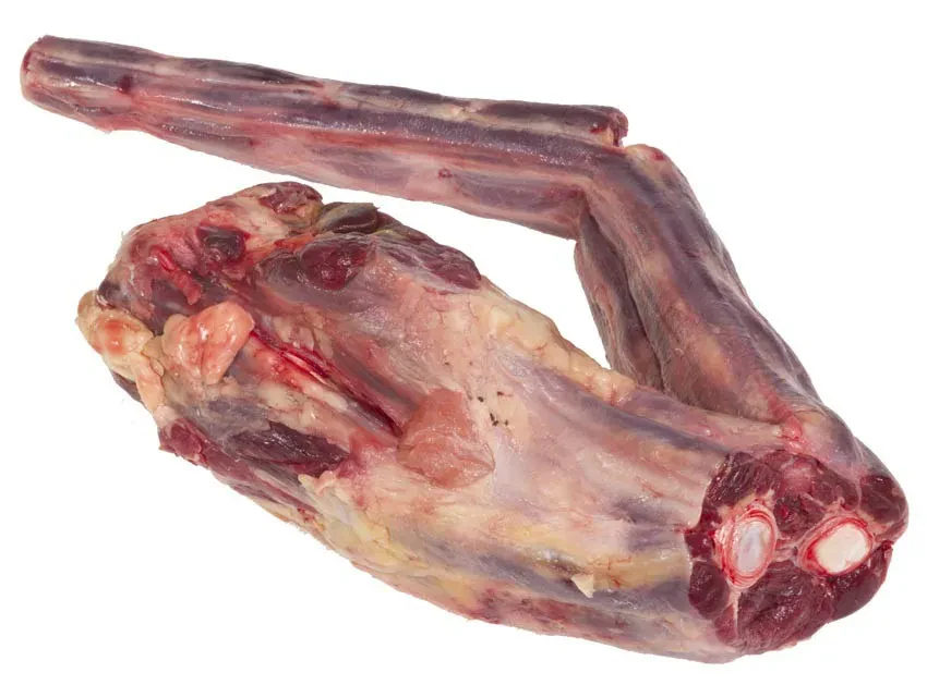 Meat the World - Queue de Boeuf