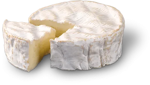 Meat the World - Camembert
