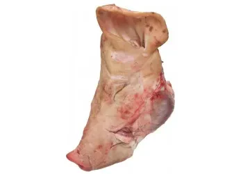 1/2 varkenskop